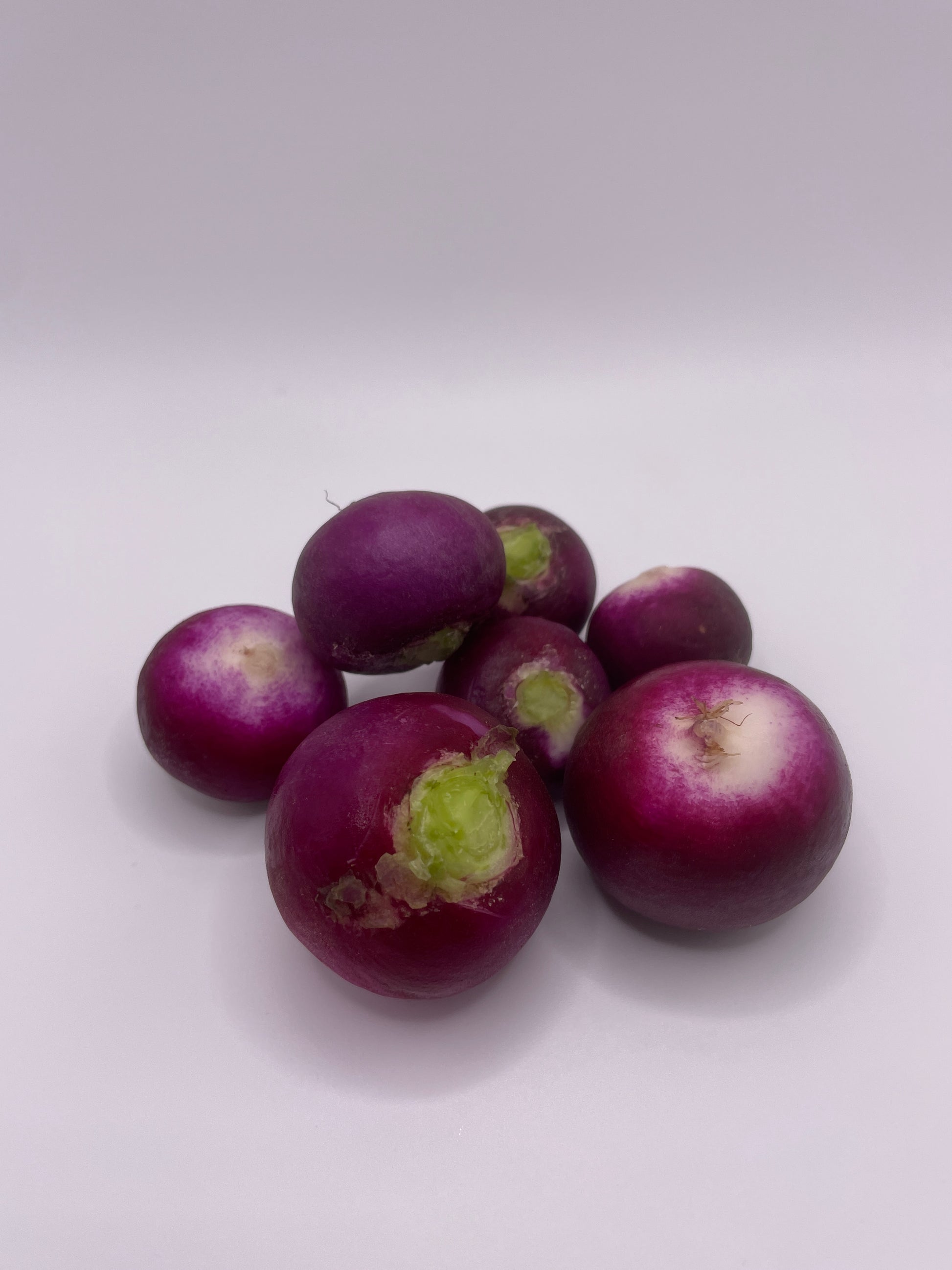 Purple Radish