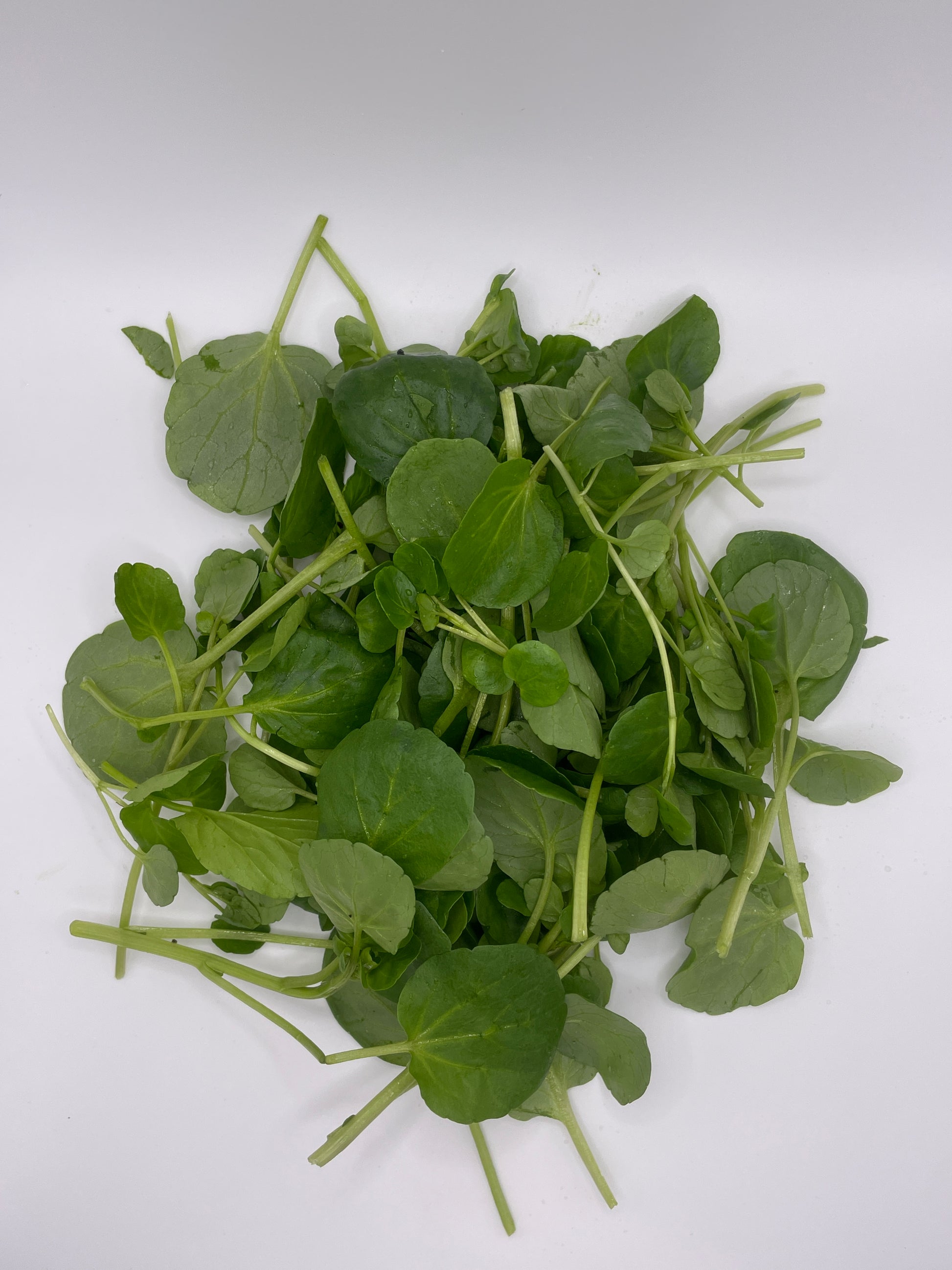 Watercress